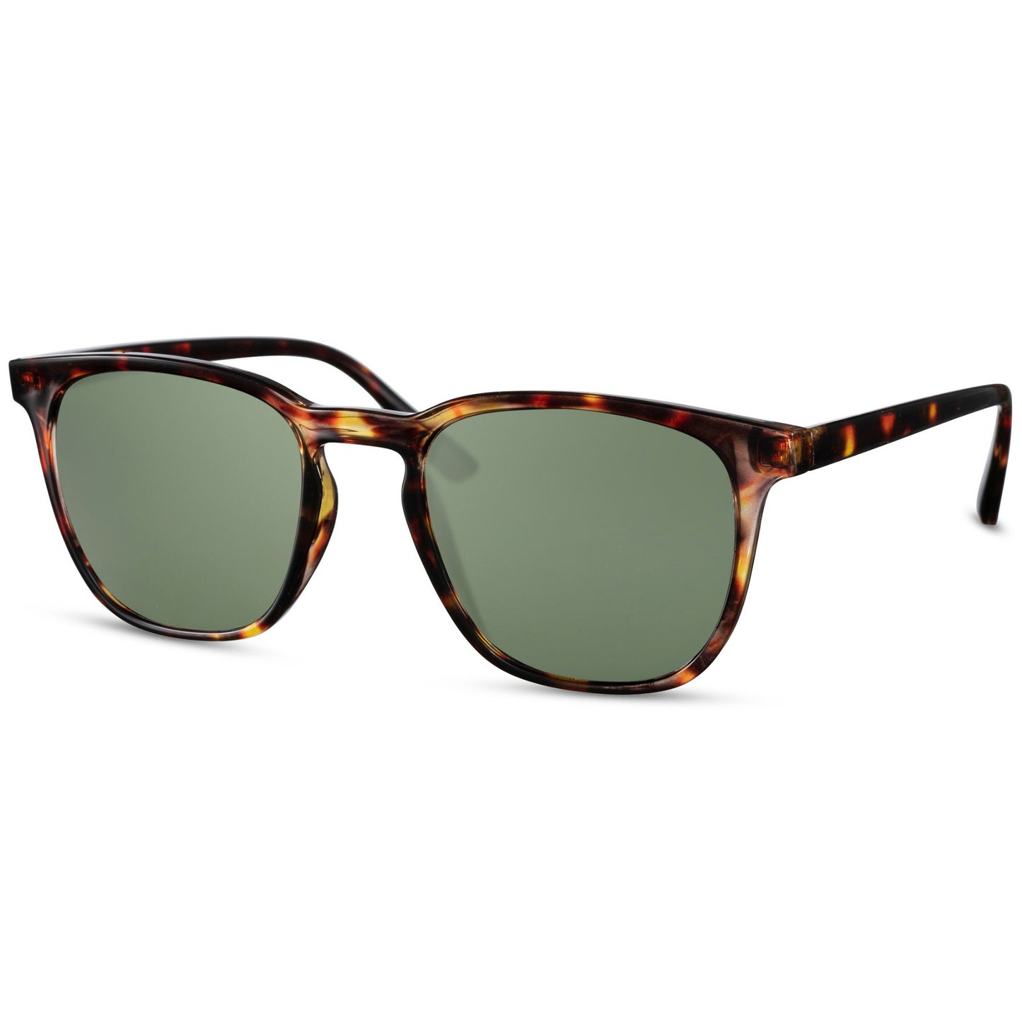 OGP VISION ECO