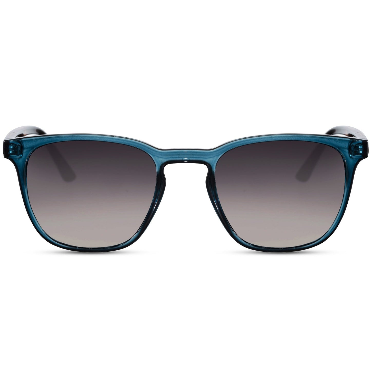 OGP VISION ECO
